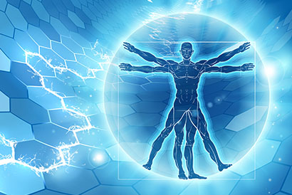 Kosmische Organanatomie